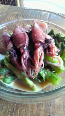 201002081440000.jpg