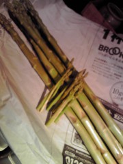 20100310154355.jpg