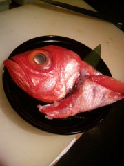 untitled 100903_180231.jpg