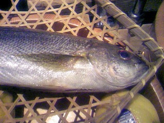 untitled 100907_174034.JPG