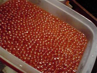 2010090512460000 2010090512460000.jpg